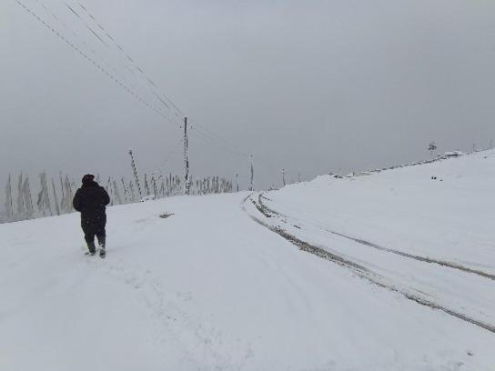 Tseten'S Inn Lachung Dış mekan fotoğraf